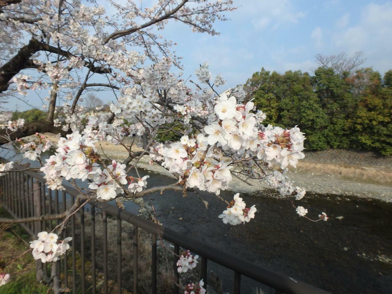 Kyo No Yado Nishioji Hotell Kyoto Eksteriør bilde